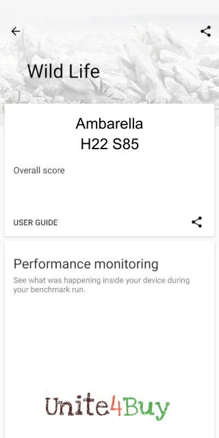 Ambarella H22 S85 3DMark Benchmark результаты теста (score / баллы)