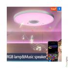MARPOU RGB Ceiling Lamp 30cm Style B