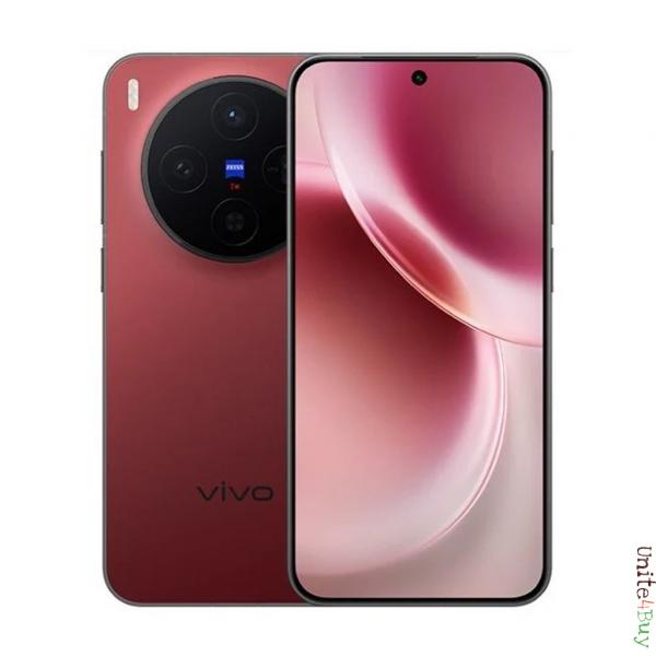 vivo X300